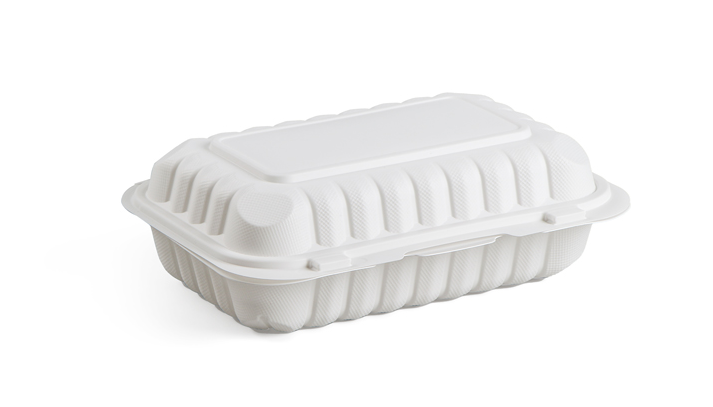 disposable lunch boxes