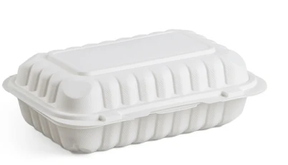 9x6 inch white leftover container
