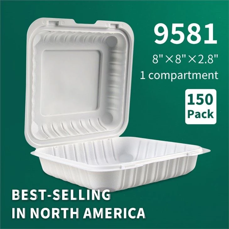 YR9581 Mỹ Bán nóng Dùng một lần Mang ra Hộp đựng thức ăn bằng vỏ sò Hộp đựng thức ăn bản lề có thể uốn được