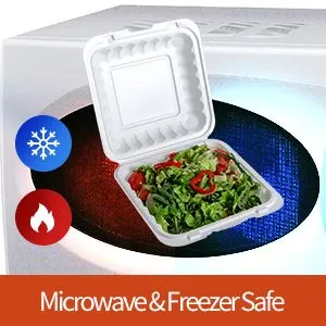 Hộp cơm thân thiện với môi trường dùng một lần