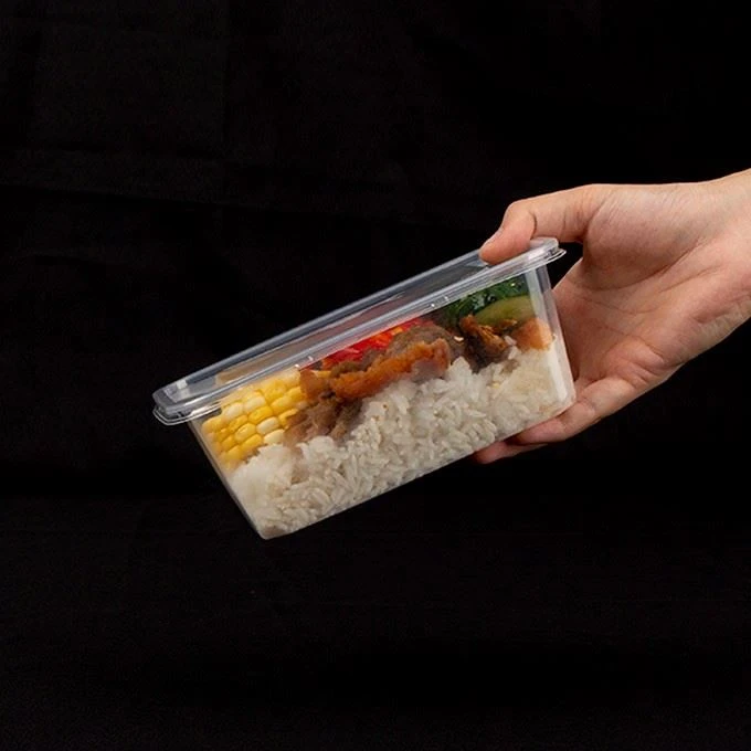 Takeaway Plastic Containers