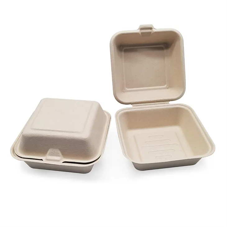 Hộp đựng bữa trưa phân hủy sinh học