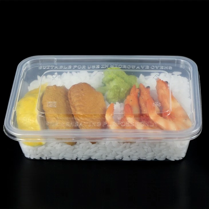 Hộp Đựng Thực Phẩm Nhựa Lớn