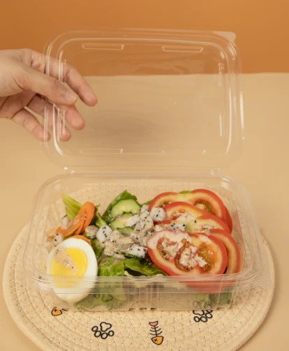 Bát Salad Nhựa Hình Chữ Nhật