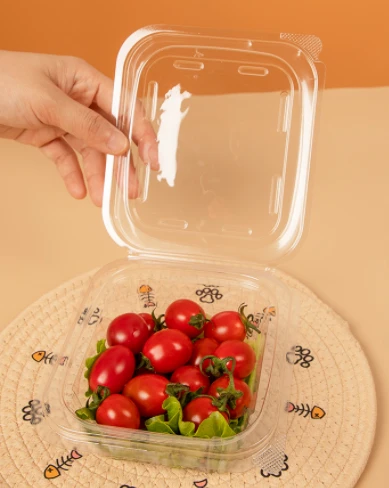 Bát Salad Nhựa Vuông