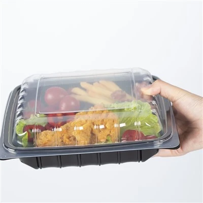 Hộp đựng bao bì thực phẩm dùng một lần