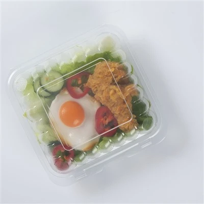 Hộp cơm trưa Bento đựng thức ăn dùng một lần