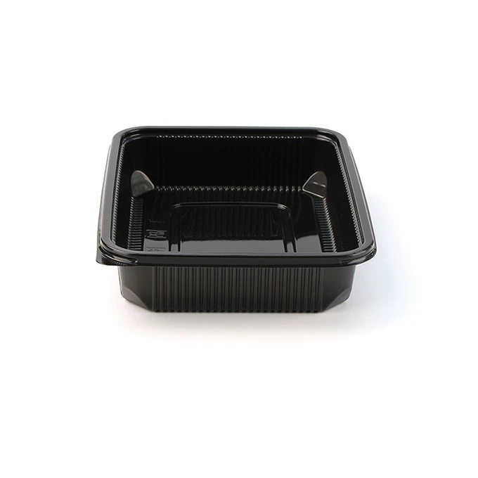 Takeout Bento Boxes With Airtight Lid