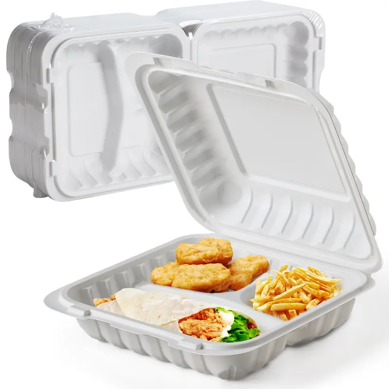 Container Togo lớn