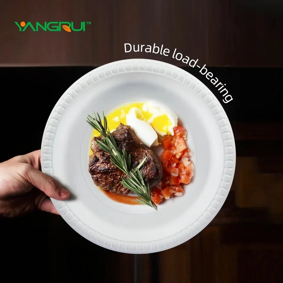 Party Disposable Plastic Plates