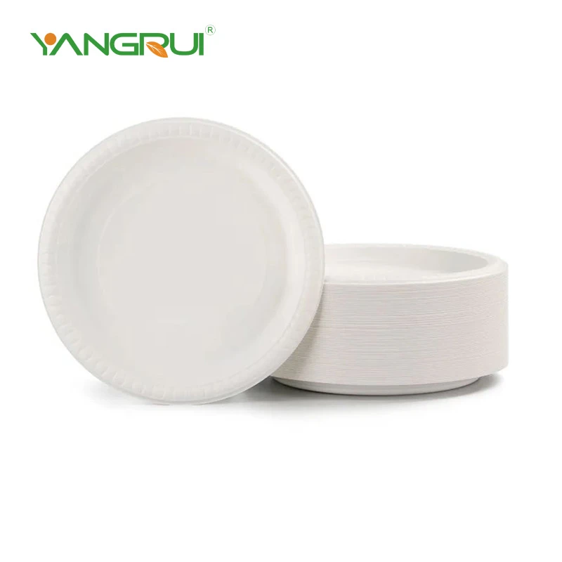 Đĩa nhựa tái sử dụng