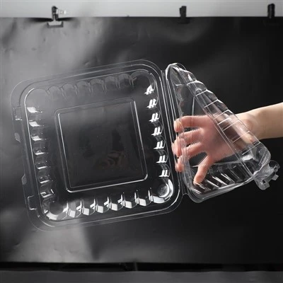PET Hinged Container PET Hinged Container